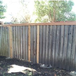 Fence And junk 