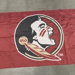 FSU 3x5 Flag