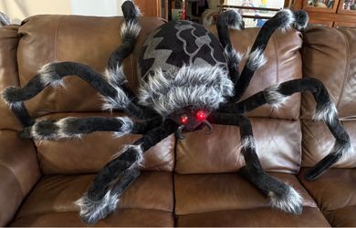 6 Foot Spider with Red Eyes