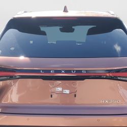 2023 2024 2025 LEXUS RX350H REAR TRUNK TAILGATE LIFTGATE LID ASSEMBLY W/ CAMERA