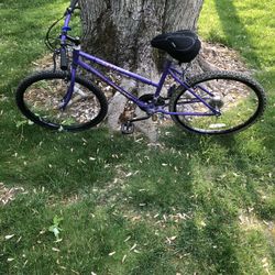 26” Mountain Bike 