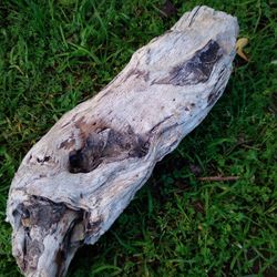 Natural Driftwood For Aquariums Terrariums Decor Etc..