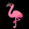 Flamingo Bazaar