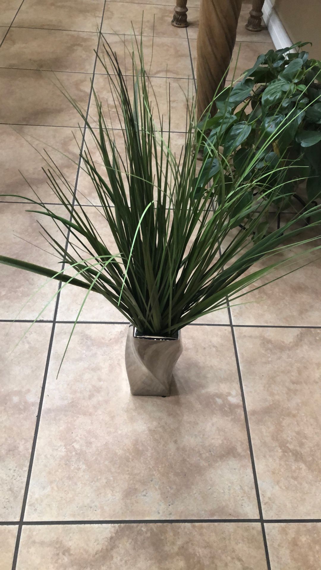 Plant