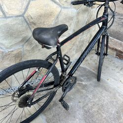 Specialized 