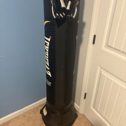 Punching Bag