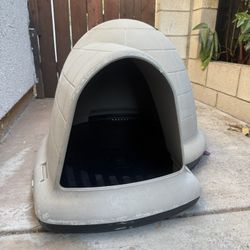 Dog House