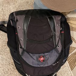 Swiss Gear Bag Back