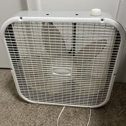 20” Fan 