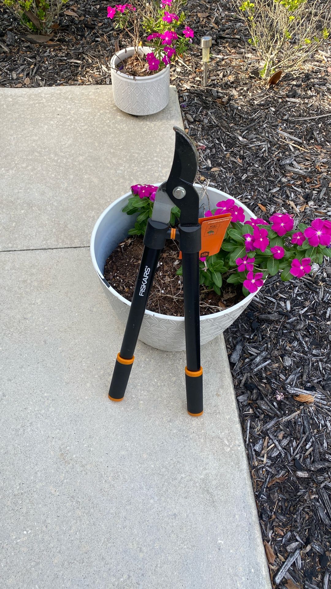 Tree Branch Palm Tree Trimmers/ Pruner