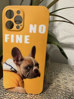 iPhone 12 Pro Max Case