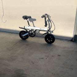 Electric Bike