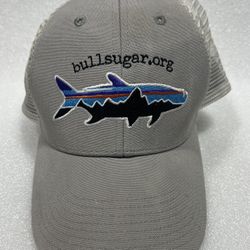 Patagonia Fitz Roy Trout Gray Trucker Hat Cap Fish Mesh Snap Back Bullsugar 
