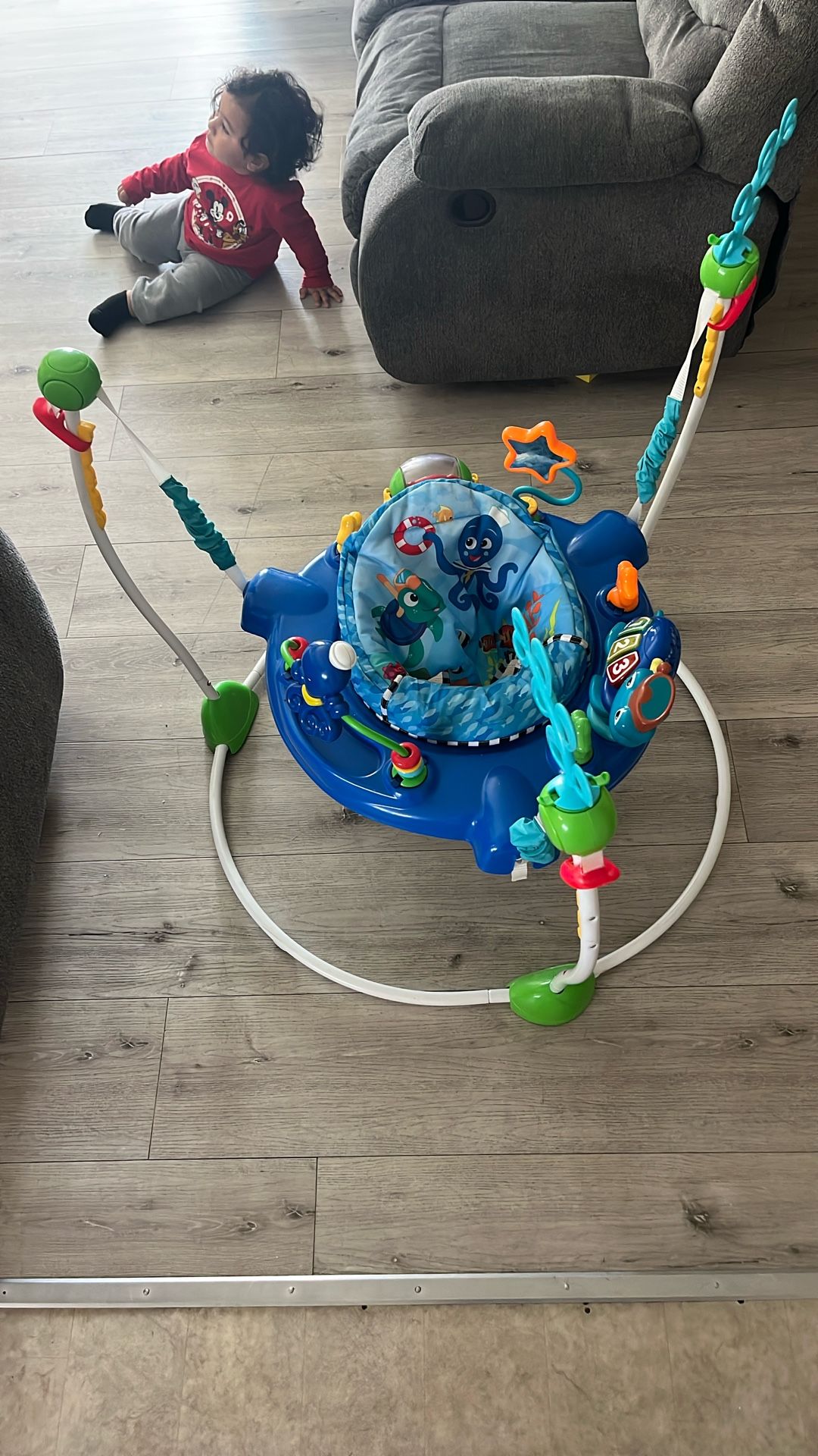 Bouncer Toddler