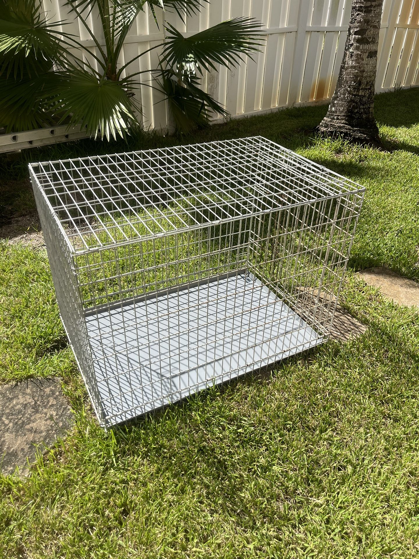 Dog Crate