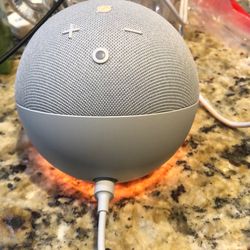 Echo dot 5th generation