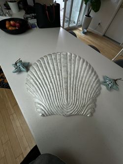 Large Wall Seashell Decor