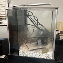 3 Gallon Fish tank With LED Lamp And Filter