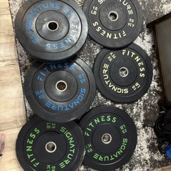 160LB Olympic Bumper Plates 2” Hold