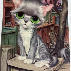 Pity Kitty