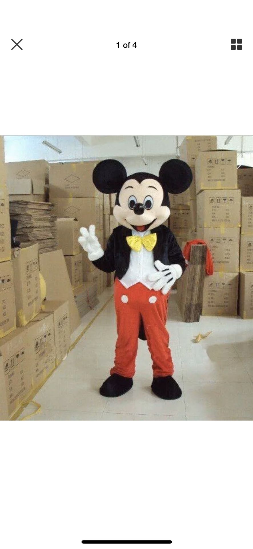 Mickey costume
