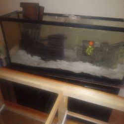 55 Gallon Aquarium Need It Gone ASAP
