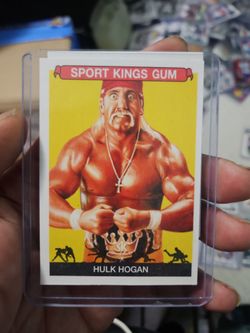 Hulk Hogan 