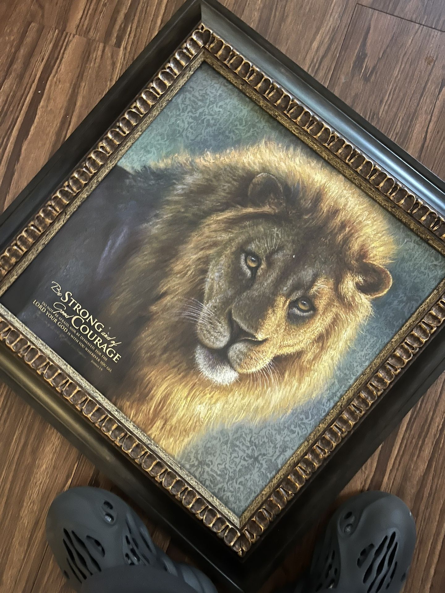 Lion Canvas