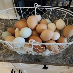Dozen Eggs $5