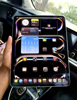 iPad Pro. M5. 256G.  13inch