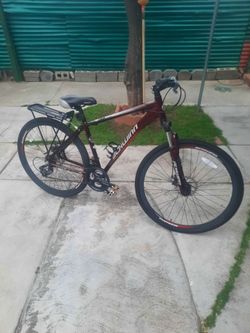 Schwinn dual sport(700x38c 28 inch tires
