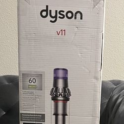 Dyson V11