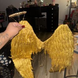 Wings And Halo From Spirit Halloween Store