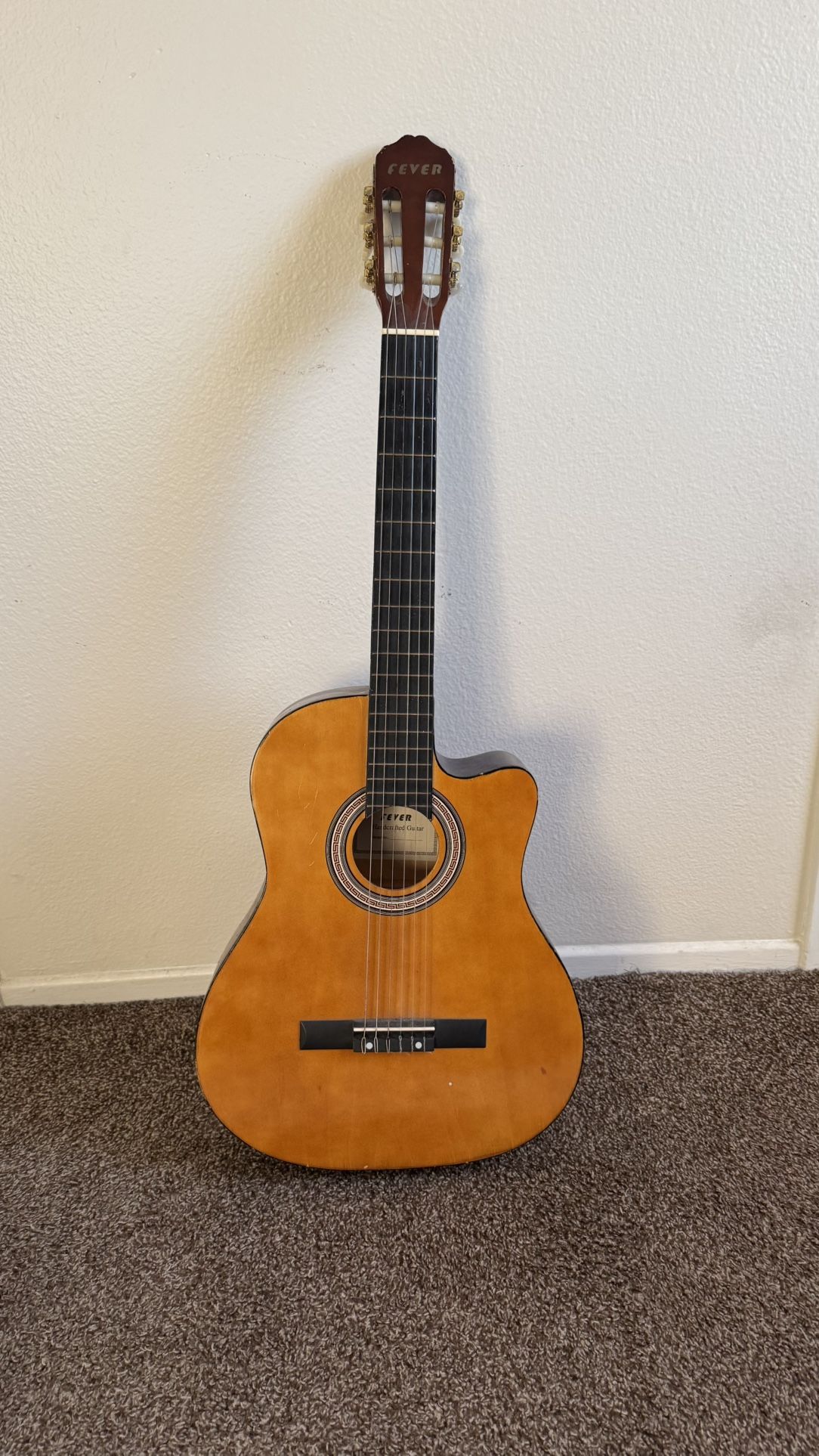 acoustic classical guitar