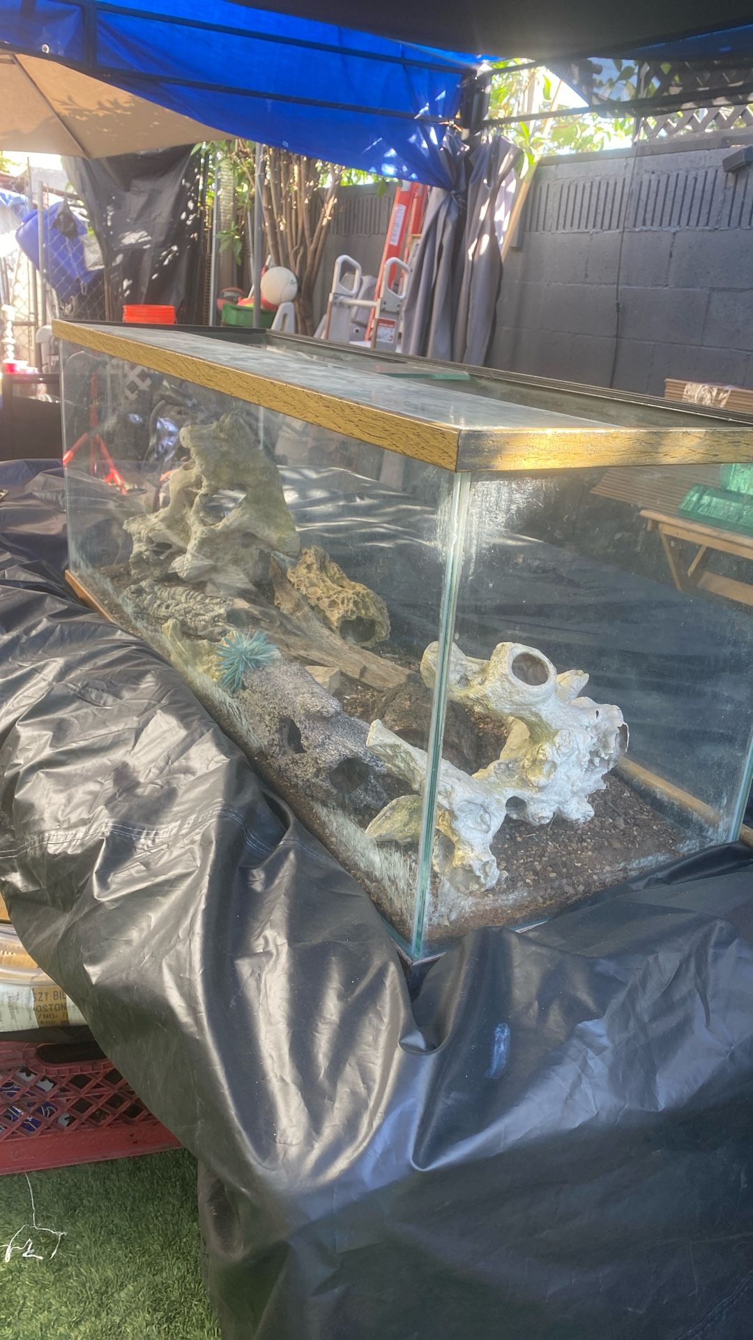 Reptile Tank/fish Tank