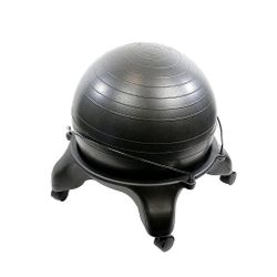 LOW PRICE MOVING- $113 + TAX RETAIL NEW BALL POSTURE CHAIR