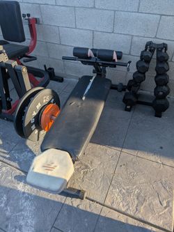 Flat bench/Hyperextension