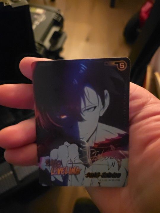 Mapniverse Solo Leveling Sung Jin Woo 