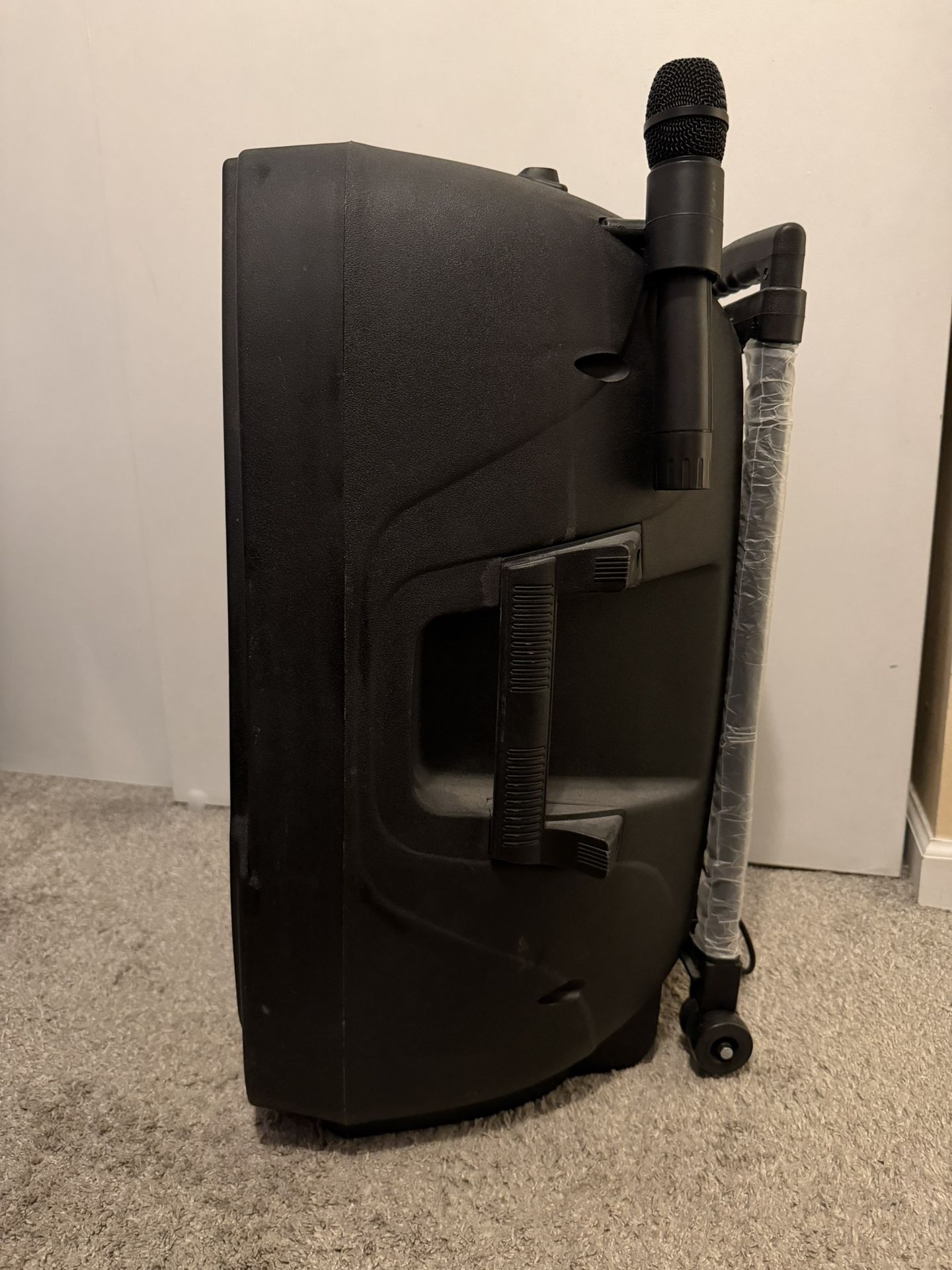 Gemini Karaoke Speaker With Microphones