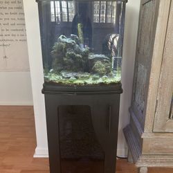 Bio Cube Aquarium with Clown Fish