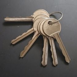 Raking Set - Access Keys, Locksmith Tools 