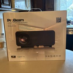 Projector And Screen