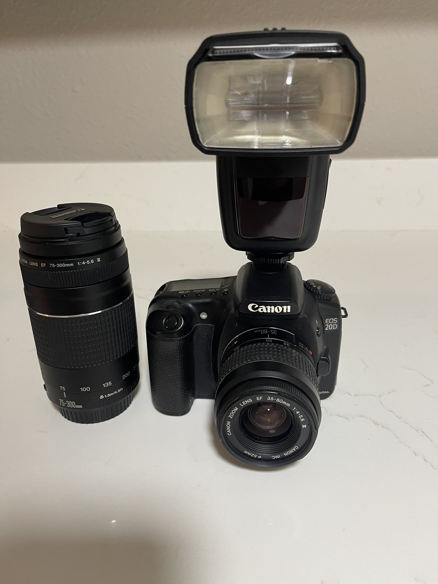 Canon 20D Camera Set with Lenses