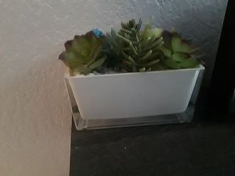 Faux Succulent