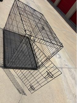 Large Dog House