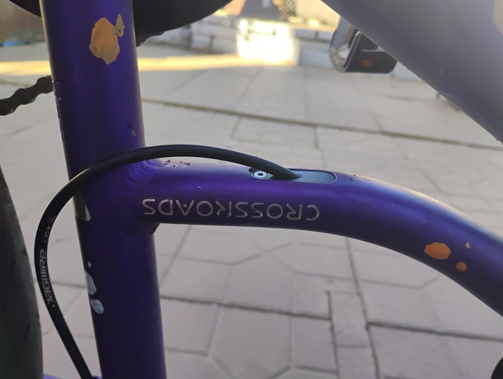 Specialized Bike