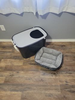 Cat Supplies