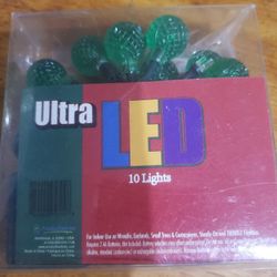 10 Battery Operated Green Rasberry Twinkle Lights, 3.5-Feet