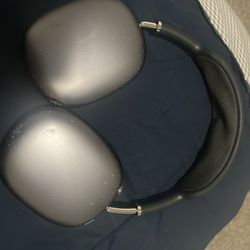Apple headphones max