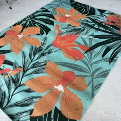 Area Rugs. Indoor/Outdoor